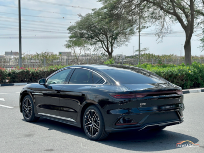 BRAND NEW 2025 BYD HAN